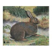 JVD lapin blason chasse