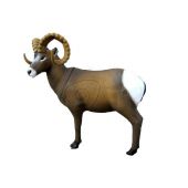 SRT Cible 3D Rocky Mountain mouflon