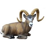 SRT Cible 3D Rocky Mountain mouflon couché