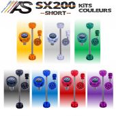 Arc Système kit viseur couleur SX200