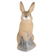 3D INTERNATIONAL CIBLE 3D lapin