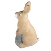 3D INTERNATIONAL CIBLE 3D lapin