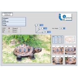 ITAL ESPANSO CIBLE 3D tortue