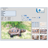 ITAL ESPANSO CIBLE 3D tortue