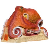 SRT Cible 3D octopus